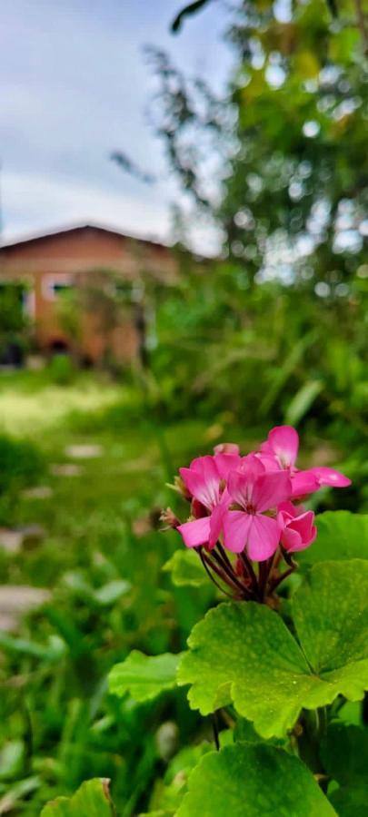 Tenda Da Lua Alto Paraíso de Goiás Dış mekan fotoğraf