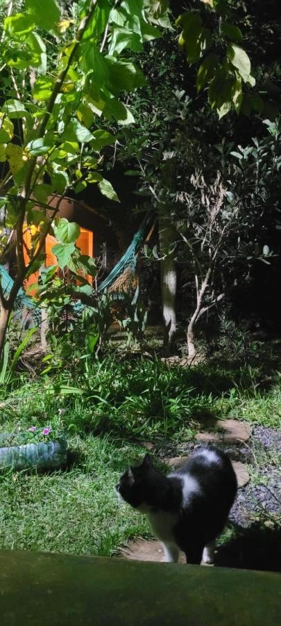 Tenda Da Lua Alto Paraíso de Goiás Dış mekan fotoğraf